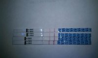 cd19opk6am.jpg