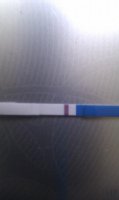 IMAG0316.jpg