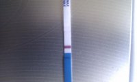 IMAG0313.jpg