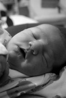 DSC_0084[1].jpg