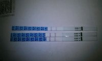 cd19.jpg
