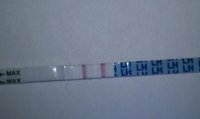 cd2010am.jpg