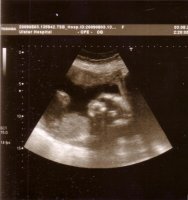 scan-02.jpg