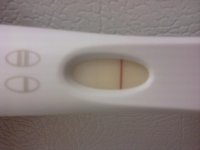 IMG_20111023_154452.jpg