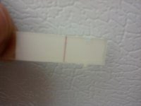 IMG_20111024_141336.jpg