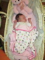 8-20-11 Malena pics 004.jpg