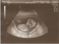 scan 6.jpg