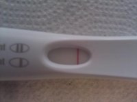 pregtest.jpg