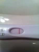 7dpo1.JPG