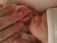 IMG_1127.jpg