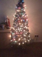 tree.jpg