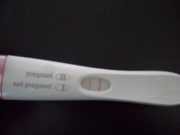 frer.jpg