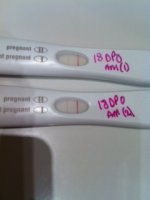 18 dpo.JPG