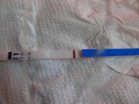 My BFP.jpg