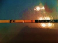 test[1].jpg