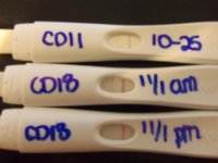 Ovulation Tests.jpg