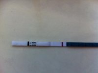 test3.jpg
