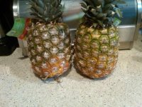 Pineapple.jpg