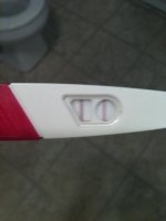 opk222.jpg