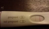 pregnant.jpg
