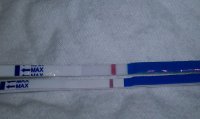 7dpo2.jpg