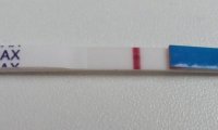 DSCF2244.jpg