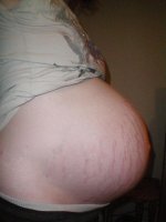 100_0008.jpg