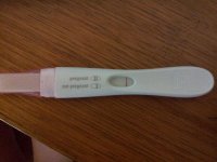 2011-11-05 07.11.04.jpg