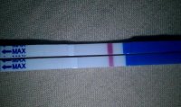 9dpo6am2.jpg