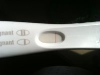 frer.jpg