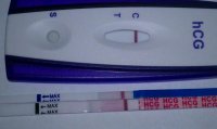 9dpo1030am.jpg