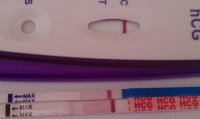 9dpo1030am2.jpg