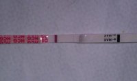 hcg1.jpg