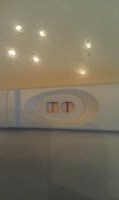 OPK 3.jpg