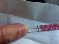 DRIEDTEST.jpg