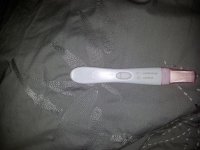 13DPO taken 550am.jpg