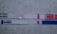 11dpo1pm2.jpg