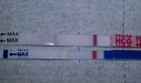 11dpo1pm2.jpg