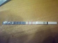 2011-11-07_18-41-54_788.jpg