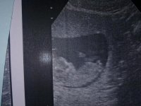 06112011305.jpg