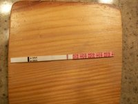 100_2747 2.jpg
