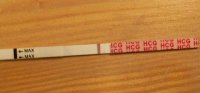 100_2747 3.jpg