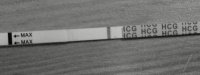 100_2747 B&W.jpg