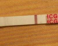 100_2747 Big.jpg