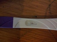 CD 29 AF 1 day Late.jpg