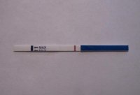9DPO IC.jpg