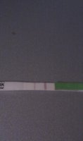 IMAG0667.jpg