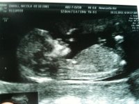 Baby O.jpg