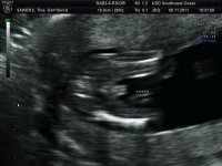 BABYBOND_8.jpg