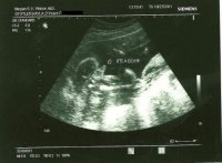Scan Picture1.jpg
